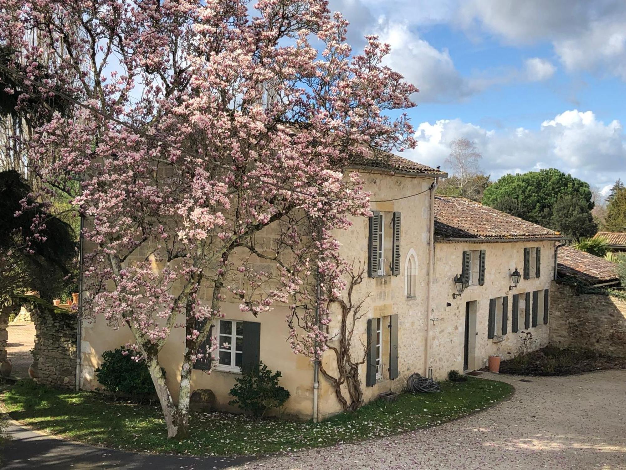 Domaine Des Monges Bed & Breakfast Saint-Seurin-de-Prats Exterior photo